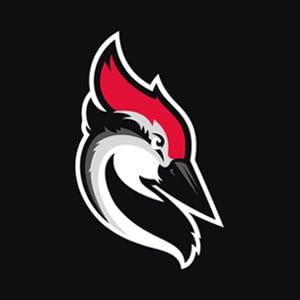 Woodpecker product logo
